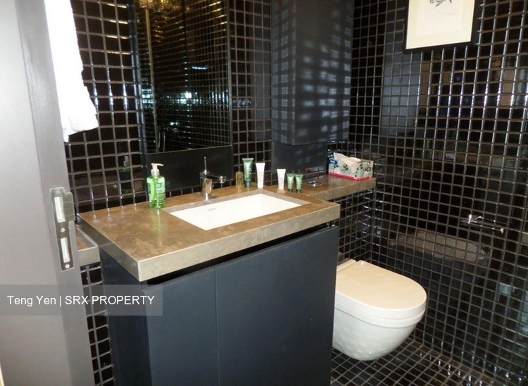 Skysuites@Anson (D2), Apartment #540660011
